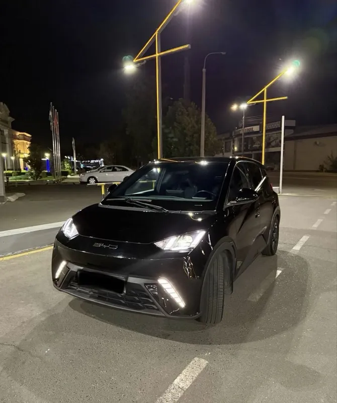 Byd Seagull 2023 full 405 2
