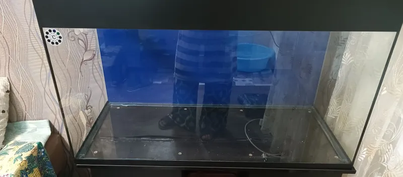 продается аквариум