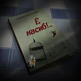 Ё насиб!.. – Усмон Сунгур — фото 2