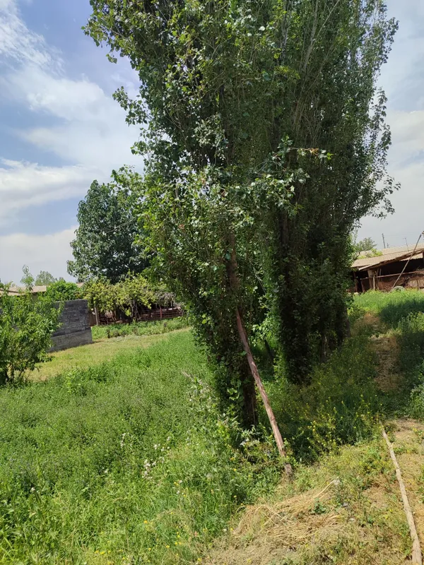Uchastka sotiladi 2 Uchastka sotiladi 2