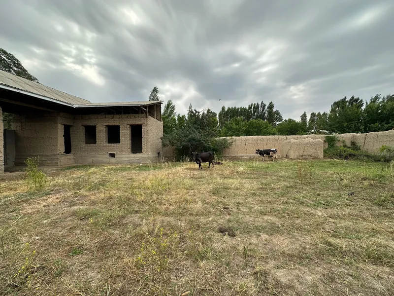 Завроқда 6 сотих ҳовли | Кадастр бор | Нархи келишилади — фото 5