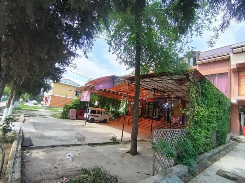 Naves tom temir leksan