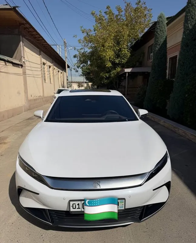 BYD Xan, 3,9 сек, два мотора 1 BYD Xan, 3,9 сек, два мотора 1