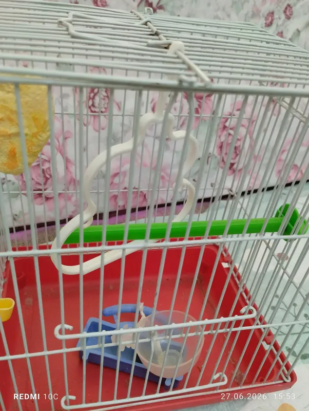 Клетки для попугаев 3