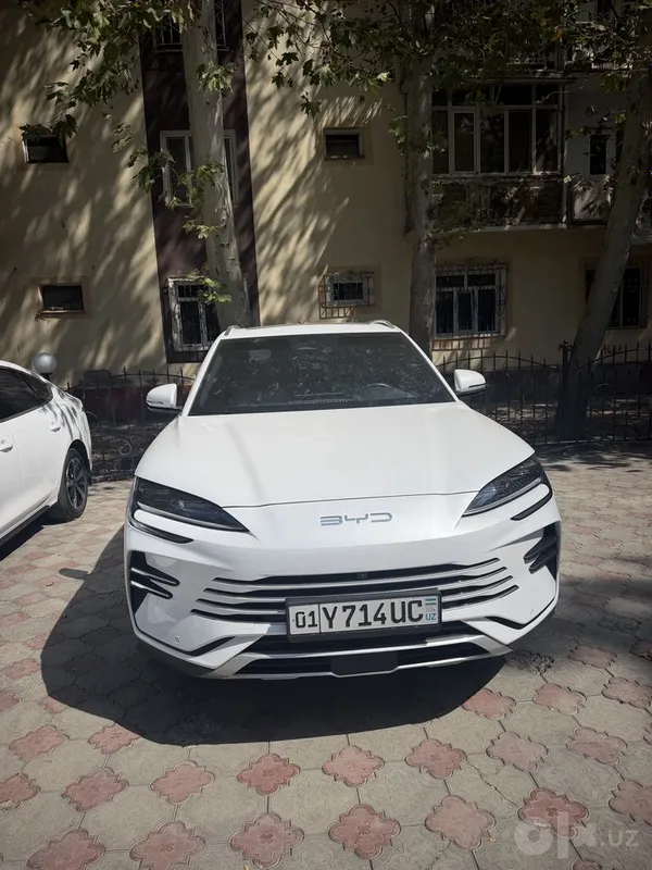 BYD Champion, 110-й 1 BYD Champion, 110-й 1