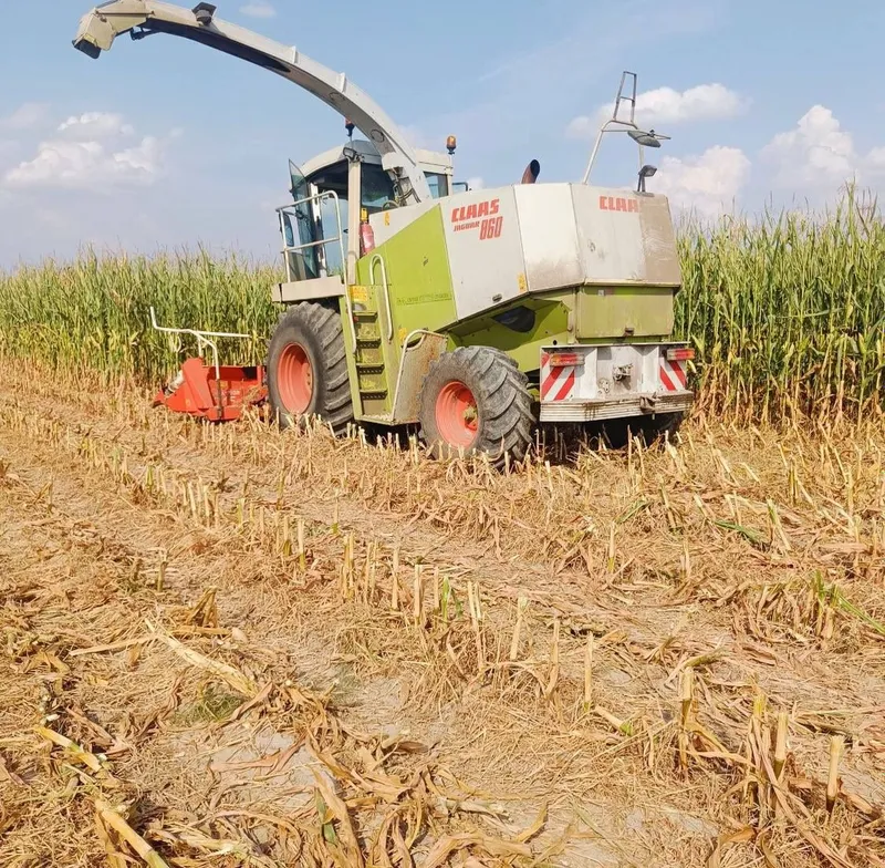 Claas Jaguar 860 Sotiladi 1 Claas Jaguar 860 Sotiladi 1