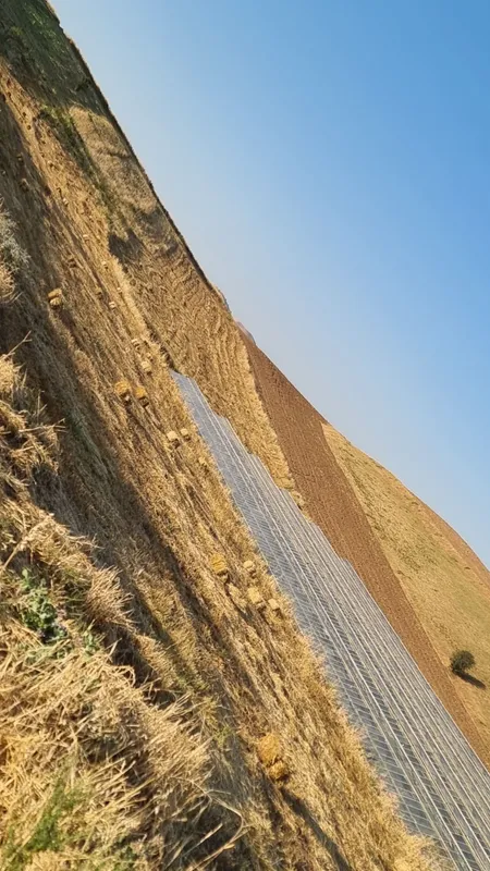 Arpa somon pres sotiladi yaxshi narxda 4