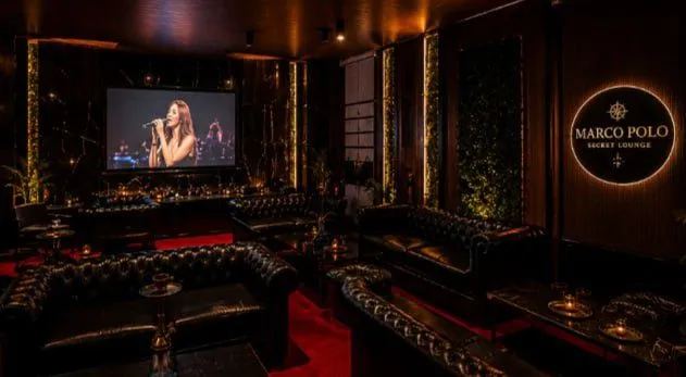 VIP Secret Lounge bar night club — фото 1