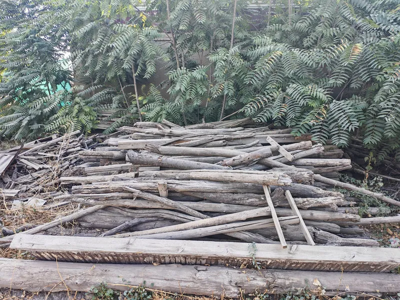 дрова 3 дрова 3