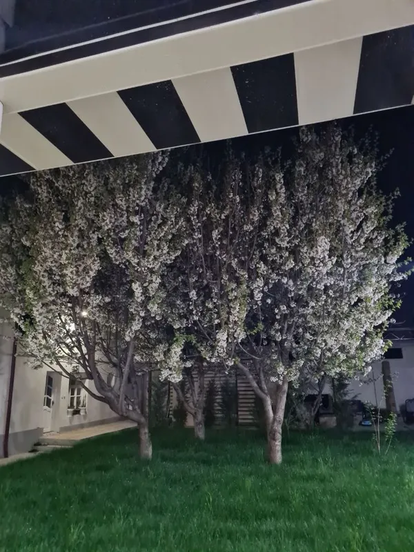 Hovli sotiladi yunusobod — фото 2