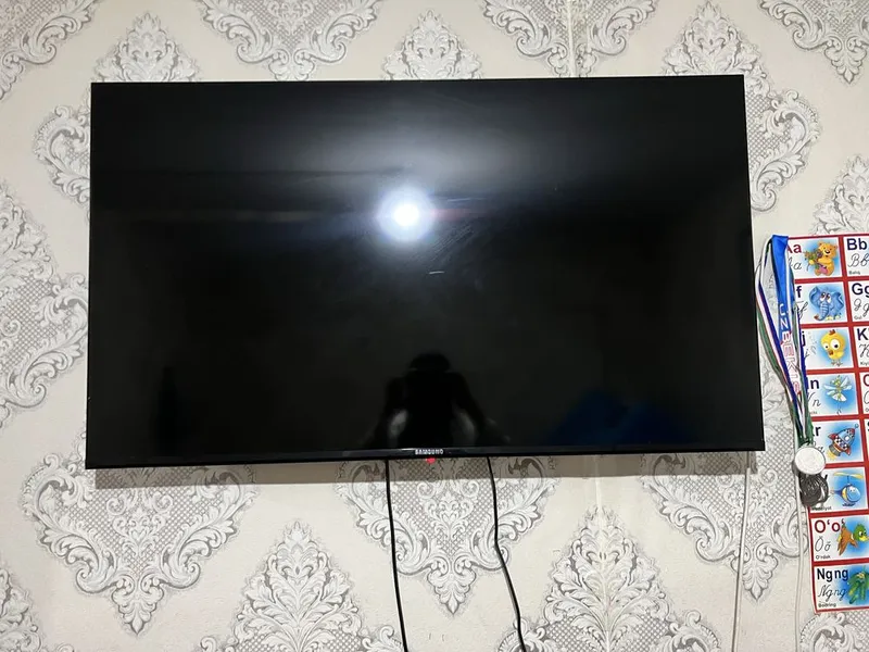 Telvizor bilan Holadenik 1