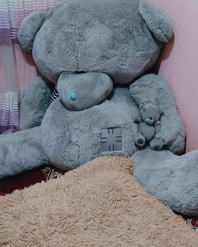 teddiy ayiq