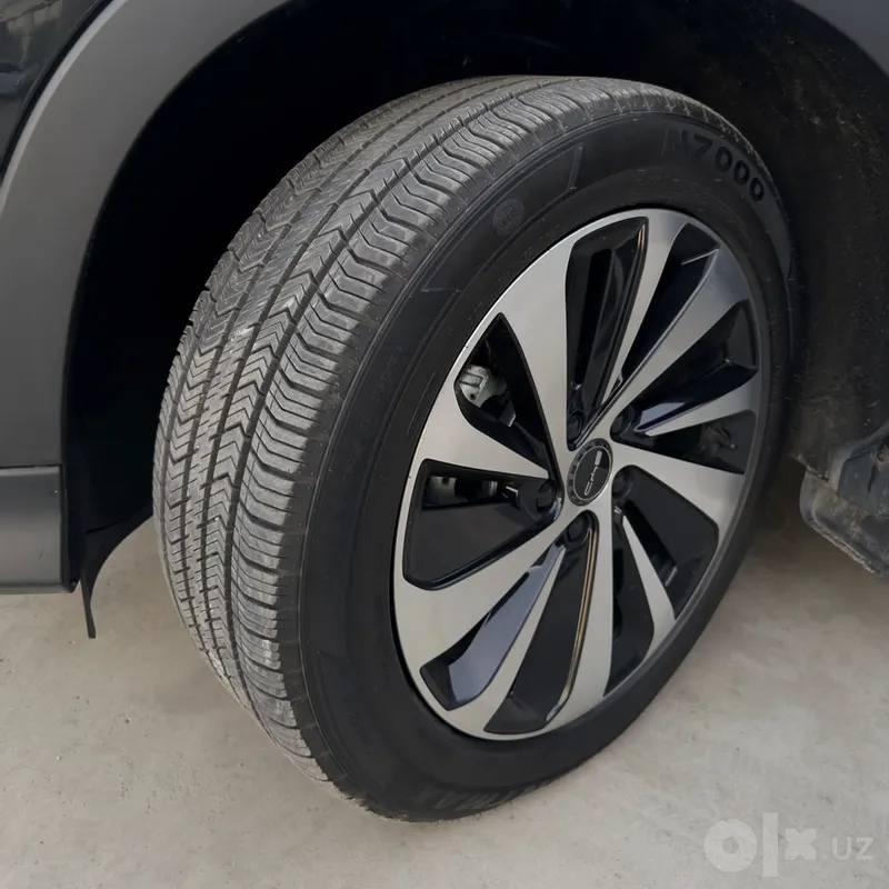 Byd champion restyling 3 Byd champion restyling 3