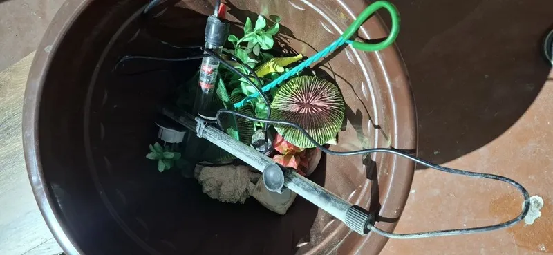 Akvarium sotiladi 2