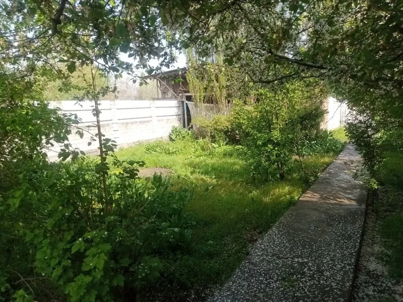 Xovli sotiladi 5.5 5