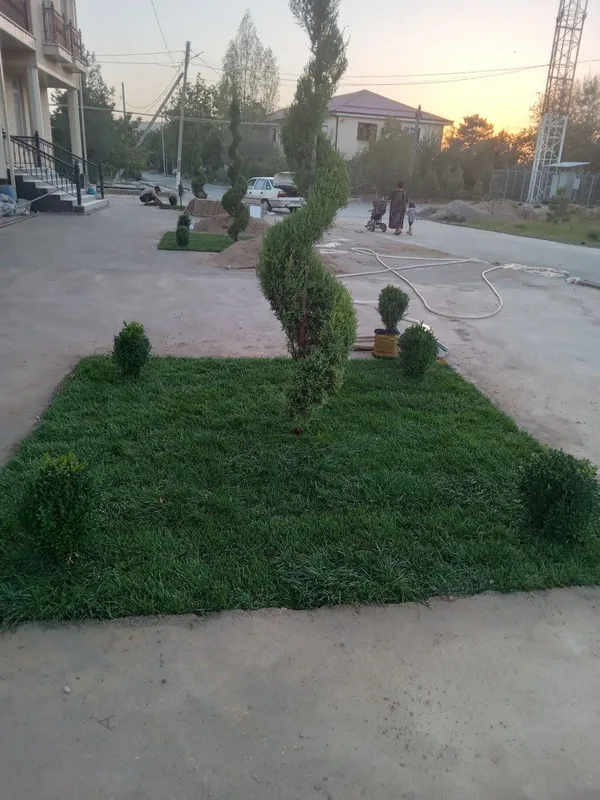 tayor gazon o‘rnatish va urug‘ ekish lanshaf xizmari bor — фото 3