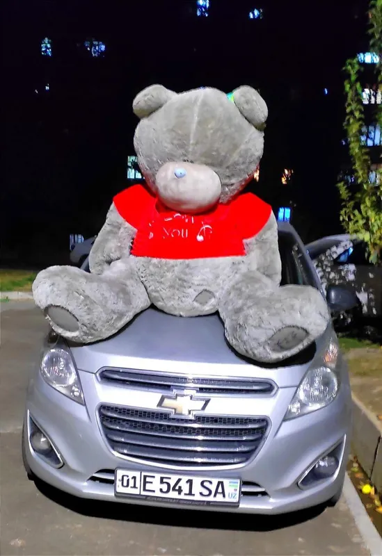 Наши плюшевые мишки Teddy 2 Наши плюшевые мишки Teddy 2