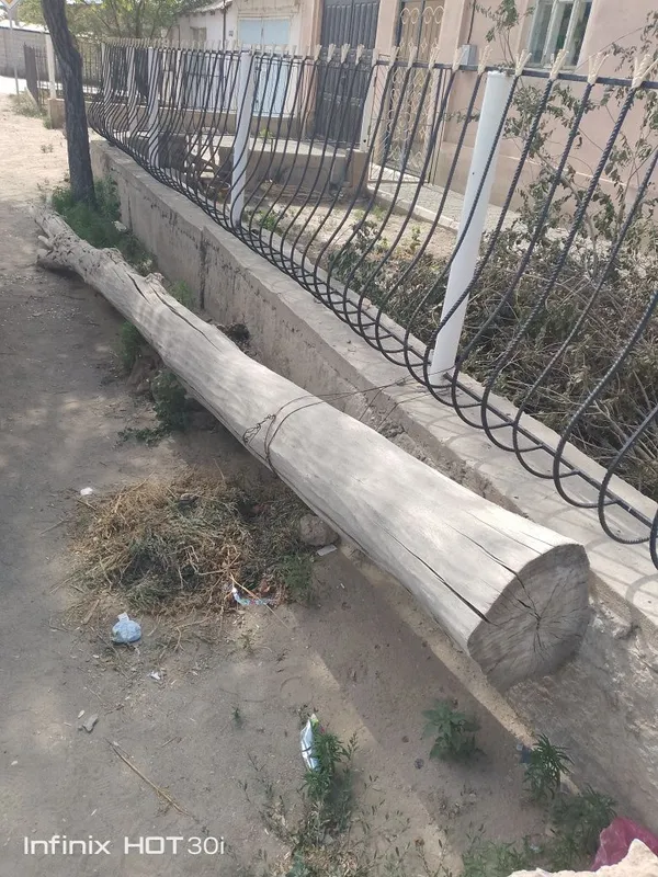 Агаш терек кругляк 6.40м 1 Агаш терек кругляк 6.40м 1