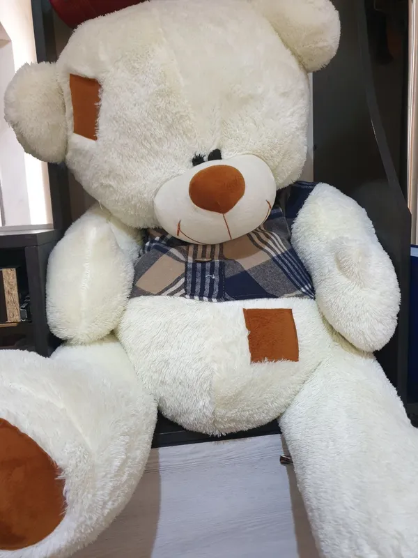 Teddy ayiq