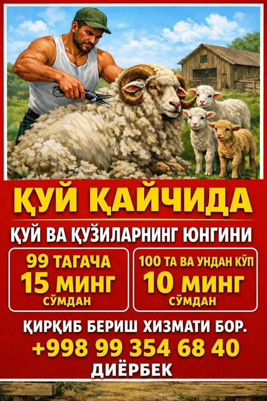 sifatli va halol