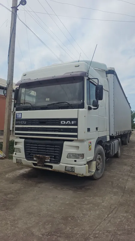 Daf Daf