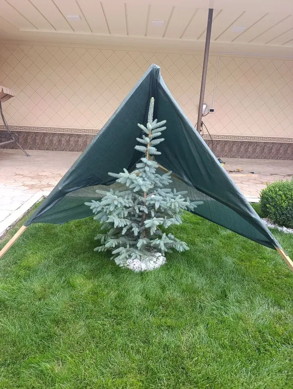 Сетка тортиш сетка соя — фото 2