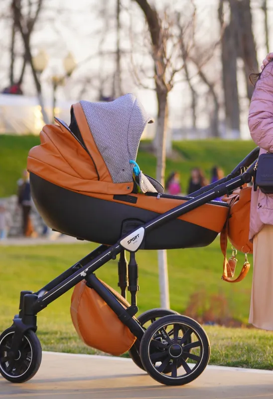 Коляска Anex sport 2 в 1 1 Коляска Anex sport 2 в 1 1