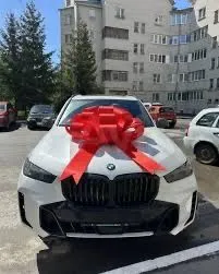 Бантики для машини — фото 2