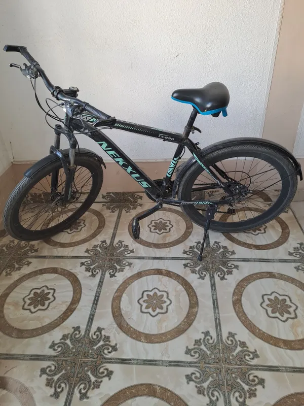 Velik sotiladi 400 ming bulishi