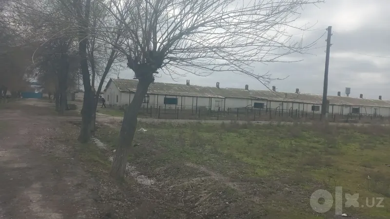 Zudlik bilan sotiladi 3 Zudlik bilan sotiladi 3
