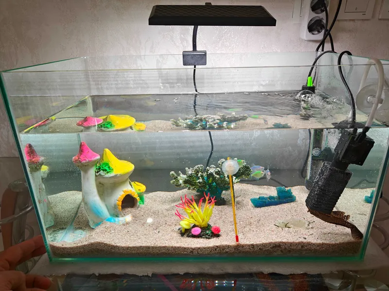 Tayyor Akvarium Готовый Аквариум