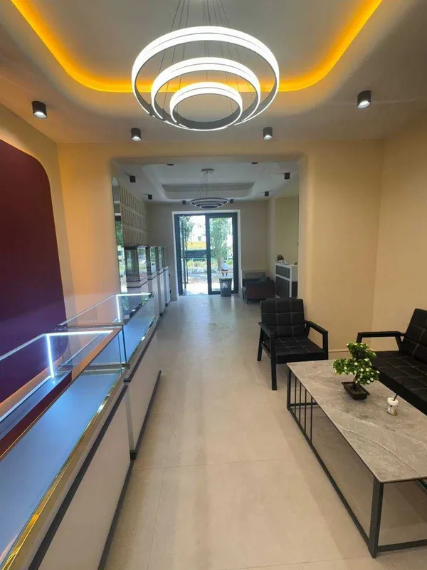 Продается 1 Линия 250м² НЕЖИЛОЕ с Арендатором ул.Шота Руставелли — фото 9