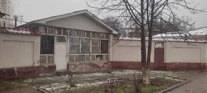 Toshkent viloyati Oqqorgon tumani Alimkent paxta zavodni oldida yolda — фото 3