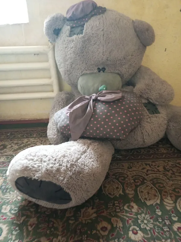 Tedy ayq sotiladi