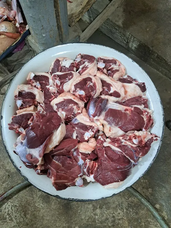 Qoy sotiladi 85.000 min taroziga — фото 2