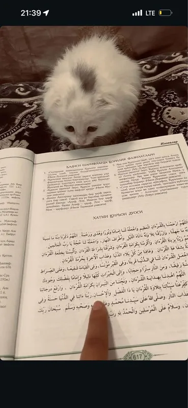 Latok qiladi korin yiydi 3 oylik 3 Latok qiladi korin yiydi 3 oylik 3