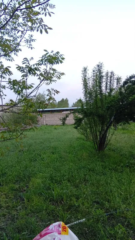 Продаётся земельный участок В районе Юкори-Чирчик Джалол Тепа — фото 4