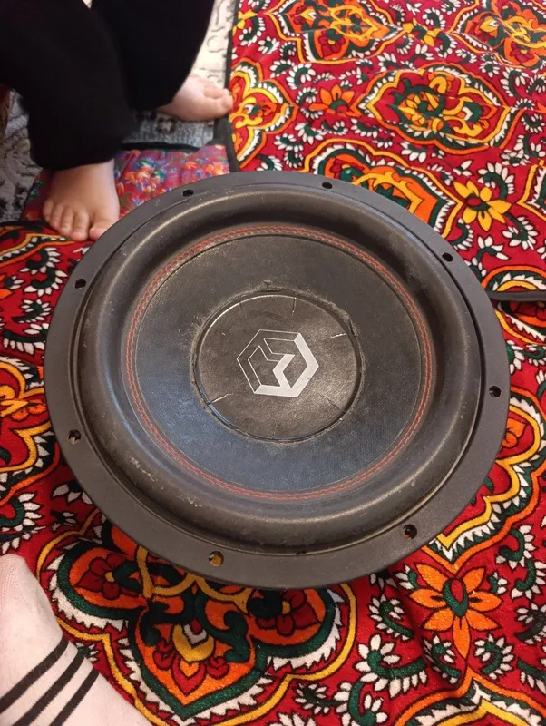 Манитор тесла и калонка — фото 1
