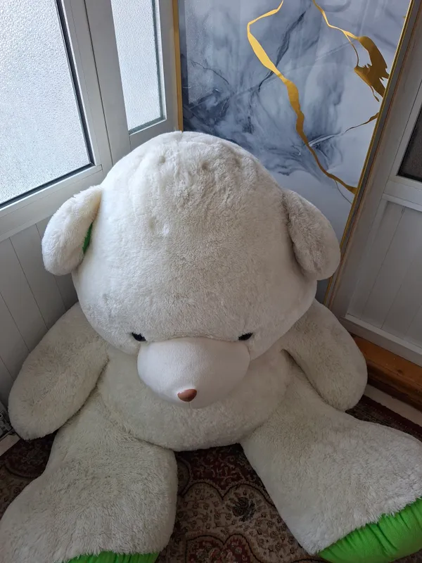 teddy