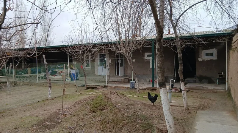 Урта сарой 8 сотих йер — фото 3