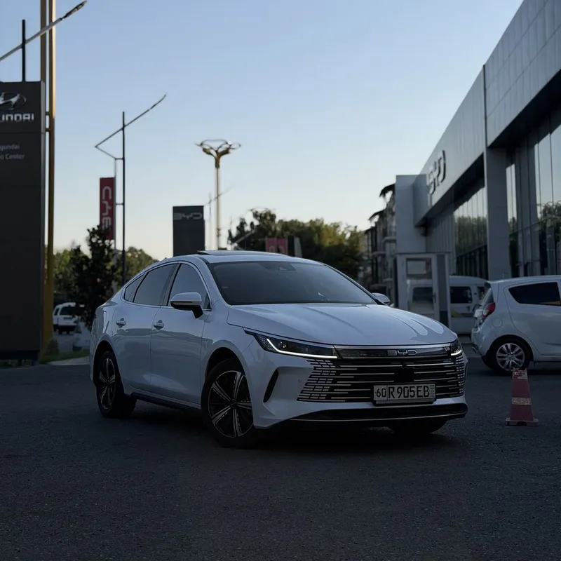 Byd chazor 120 Full 1 Byd chazor 120 Full 1