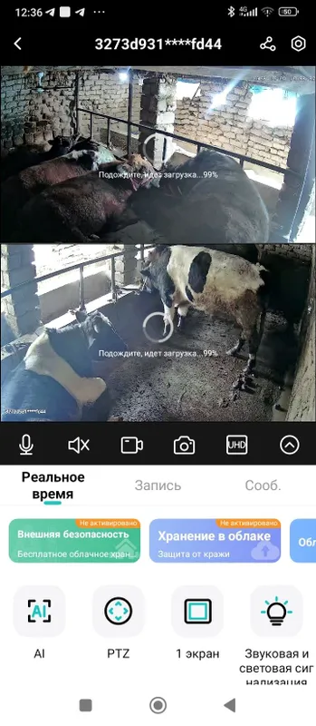 Бука сотилади катта
