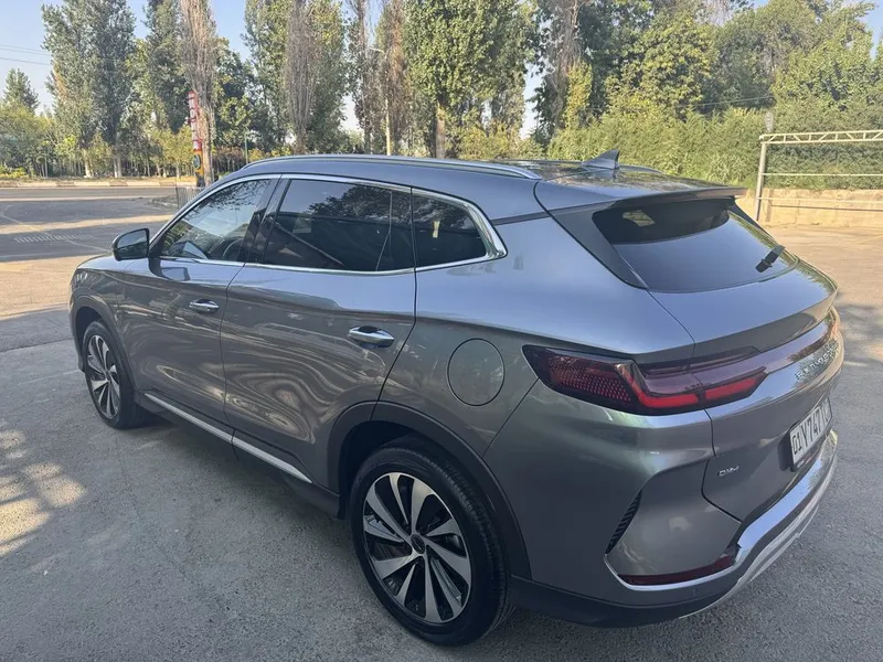 Byd chimpion gibrid 150 tali sotiladi 3 Byd chimpion gibrid 150 tali sotiladi 3