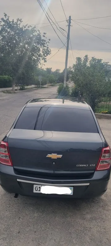 2025 stayl kulrang son of a gun gray rang