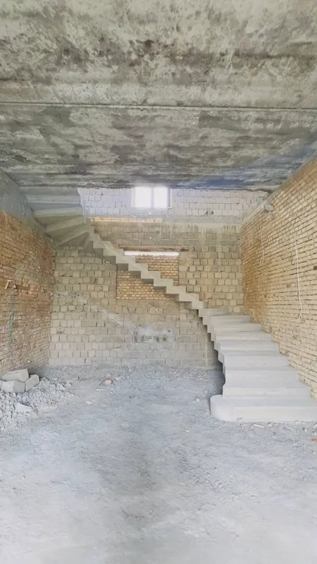 Зина леснитца (beton zina) — фото 4
