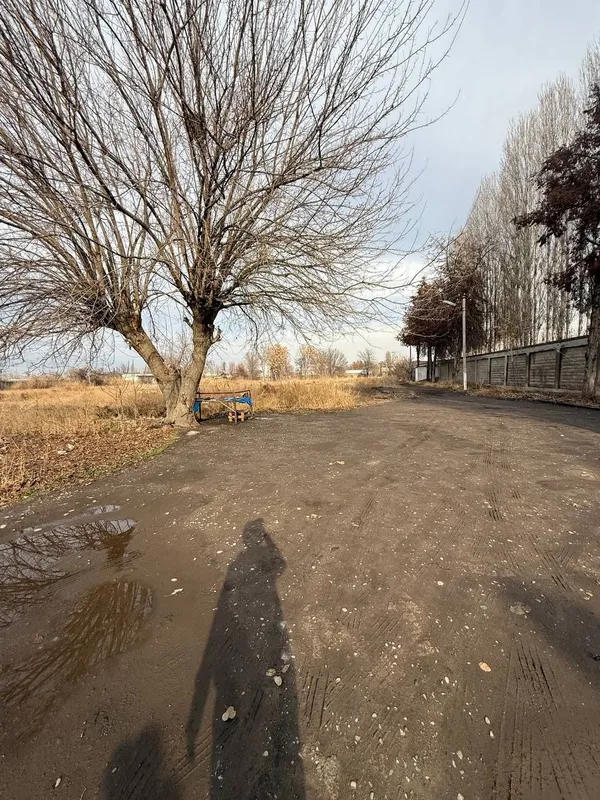 Продается земельный участок под каттеджный городок или производство — фото 3
