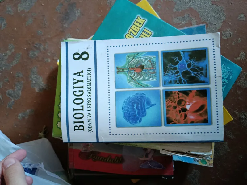 10 mingdan qo'llanma va kitoblar profilda yana bor — фото 3