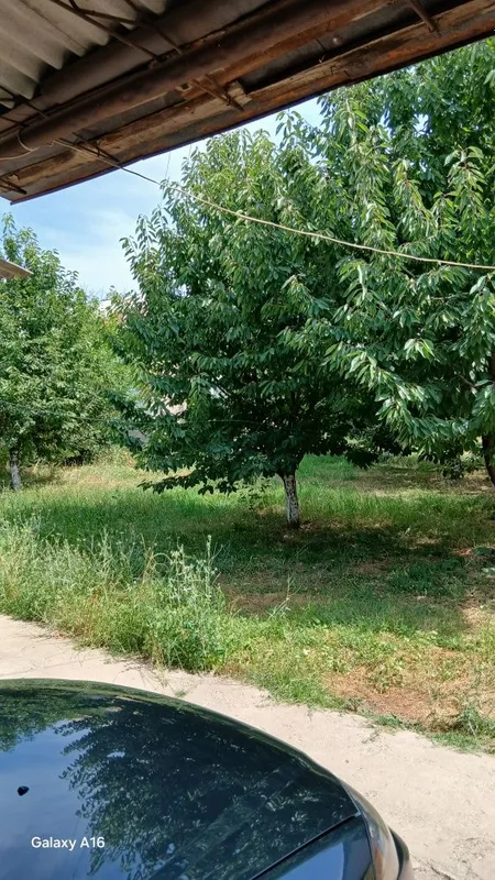 Srochniga yer sotiladi yaxshi narxda 1 Srochniga yer sotiladi yaxshi narxda 1