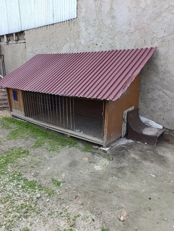 Товук ва кучук учун домик — фото 2