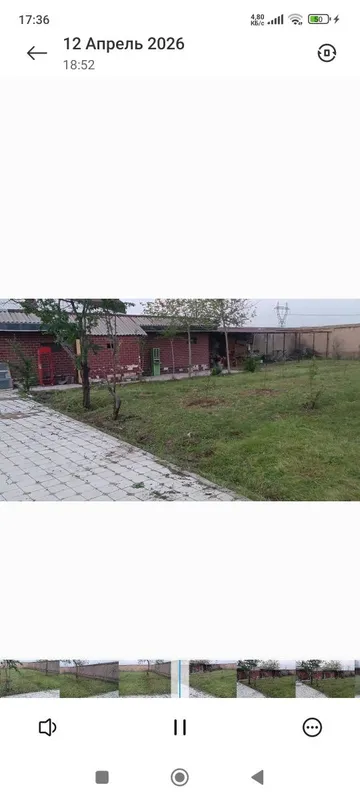 Тошкент вилояти Тойтепа Акмал Икром дала ховли ҚУРУҚ ЙЕР, ТЕПЛИЦА ПАРН — фото 2